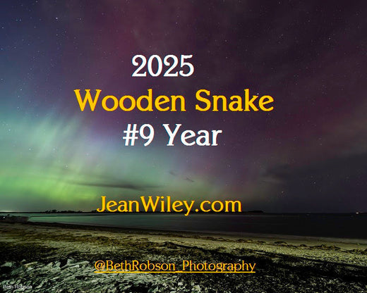 2025 the Year of the Wooden Green Snake and a #9 year