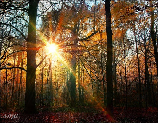 AUTUMN EQUINOX:  Sunday, Oct.22nd